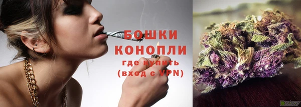 ГАЛЛЮЦИНОГЕННЫЕ ГРИБЫ Горняк