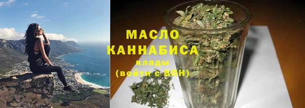 индика Володарск