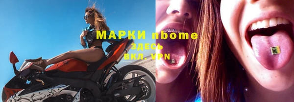 индика Володарск
