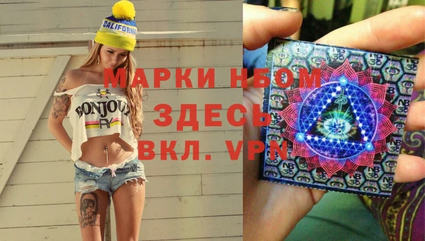 индика Володарск