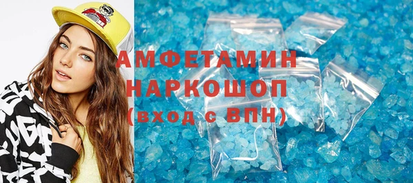 индика Володарск