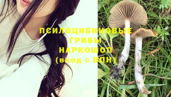spice Вяземский