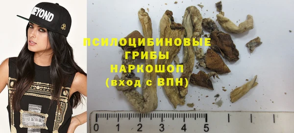 дмт Вязьма