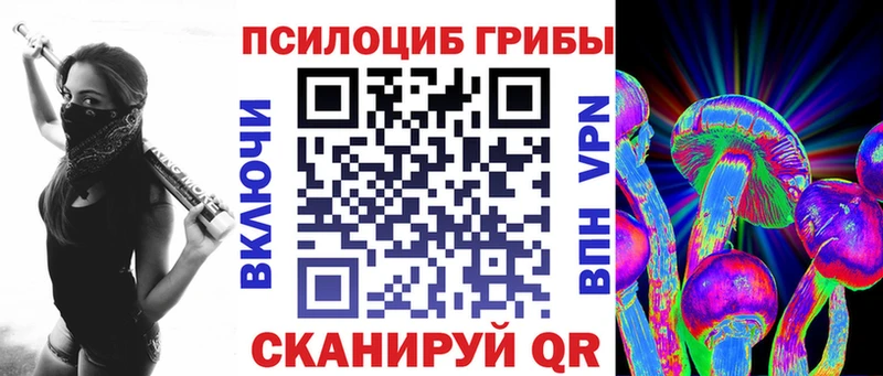 Псилоцибиновые грибы Psilocybine cubensis  Ермолино 